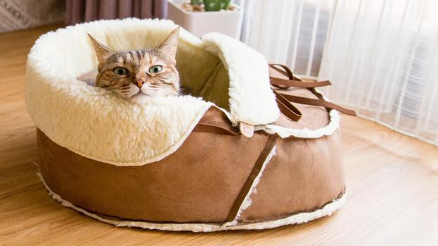 A algunos gatos les gustan las camas convencionales, a otros las que tienen techo y a otros más avezados les encanta dormir en los lugares más inesperados. (Foto: Etsy)