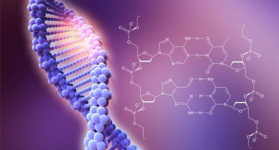 El uso de una nueva tecnología ha sido aprovechado por grupos antivacunas para difundir noticias falsas. Esta semana el doctor Elmer Huerta nos explica por qué la recientemente aprobada vacuna de Pfizer no cambiará nuestro ADN. (SCIENCE PHOTO LIBRARY)