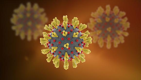 Recreación del SARS-CoV-2, el virus causante de la enfermedad COVID-19.(Imagen: Shutterstock)
