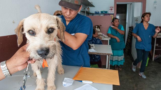 Más que una posta, un oasis - 12