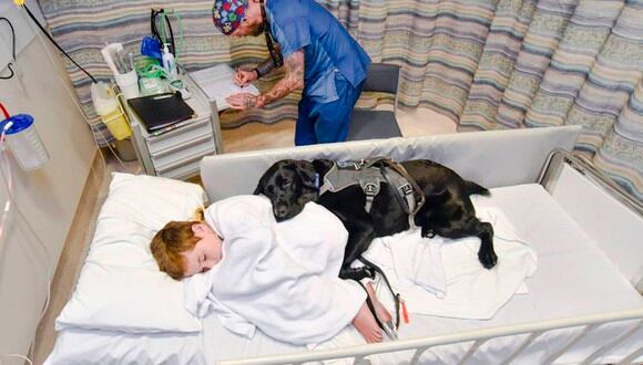 Mahe, el perro que nunca deja a su dueño autista, ni en la cama del hospital. (Louise Goossends)