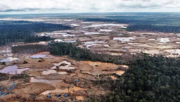 Noruega dará US$ 230 millones al Perú para luchar contra deforestación en la Amazonía