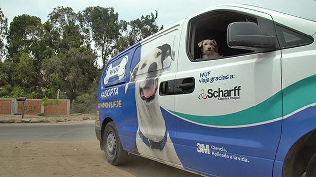 Campaña navideña beneficia a cientos de perros sin hogar - 3