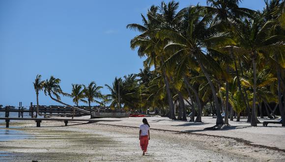 Florida reabre las playas sin tomar el sol pese al aumento de contagios y muertes por coronavirus (Foto: CHANDAN KHANNA / AFP).