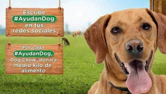 (Foto: Facebook/ Purina)