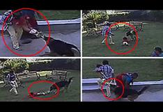 YouTube: Niño se enfrenta a un perro para salvar a su hermanita