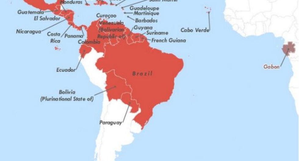 Zika: Perú no registra casos autóctonos del virus del, destaca OMS. (Foto: Andina)