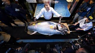 ¿Cuánto pagó el “rey del atún” de Japón por un ejemplar de 276 kilos?