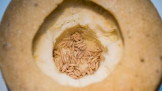 Queso de gusanos y ojo de cabra en el museo de la comida asquerosa [FOTOS]