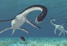 Plesiosaurio hallado en el Morro Solar | ¿Cómo vivía esta criatura que nadaba en las aguas del Pacífico?