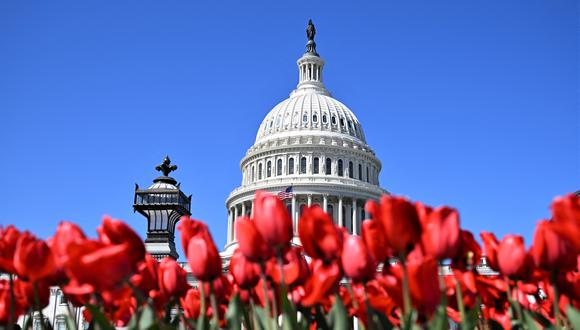 El Capitolio de Estados Unidos en Washington DC, el 24 de marzo de 2024. (Foto de Daniel SLIM/AFP).