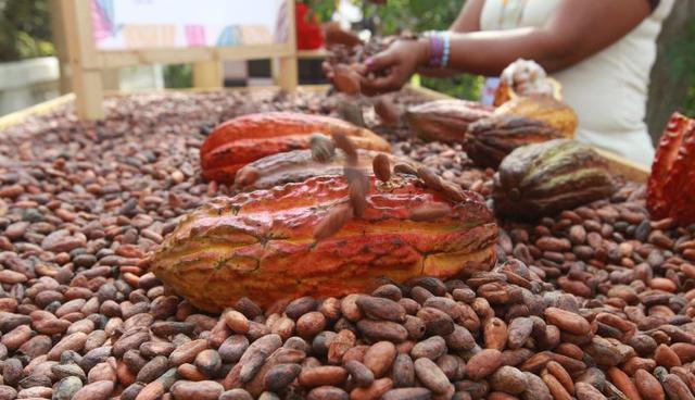Todos apuntan a superar los US$ 300 millones en exportaciones de cacao y chocolate este año, lo que nos convertiría en el quinto país exportador de este producto y sus derivados en todo el mundo. (El Comercio)