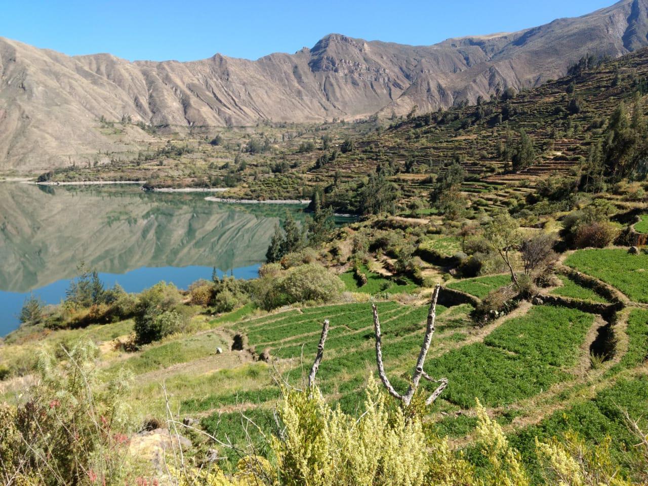 Unesco declara al Colca y los Volcanes de Andagua como geoparque mundial. (Foto: Comité Geoparque)