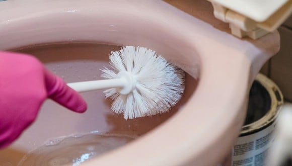 Cómo evitar que se forme moho en la escobilla del baño