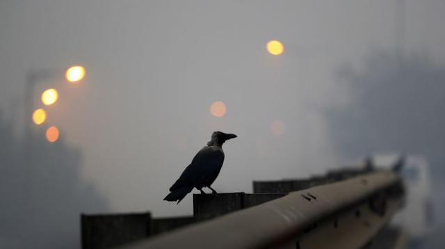 India: La niebla tóxica que envuelve a Nueva Delhi - 3