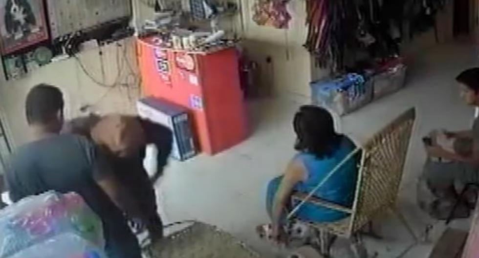 Ica: cámaras captan a delincuentes robando veterinaria en 1 minuto. (Foto: América TV)