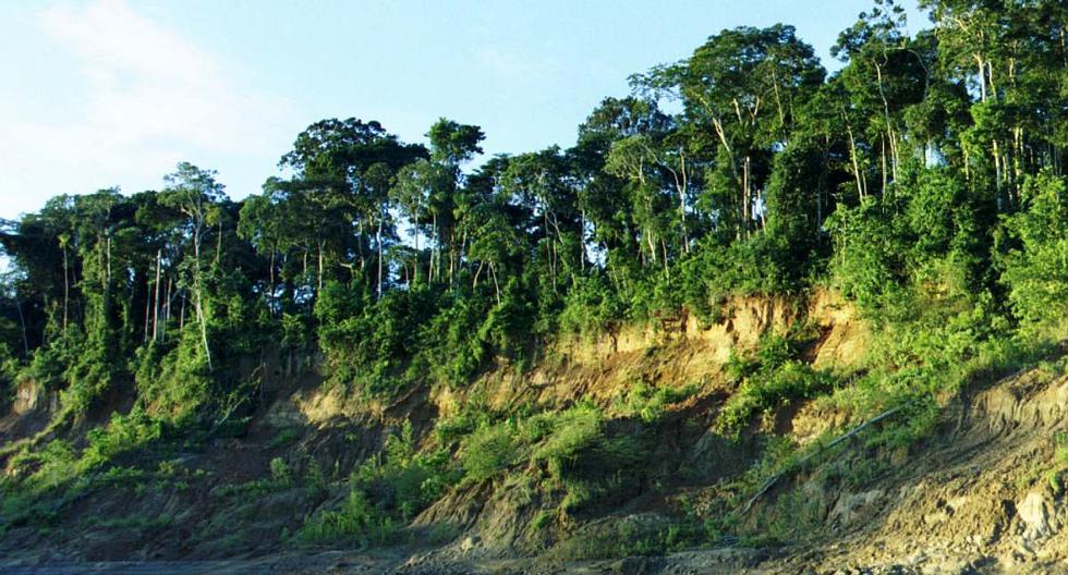 Parque Nacional del Manu, uno de los puntos con mayor biodiversidad del planeta. (Foto: As578/ Wikimedia)