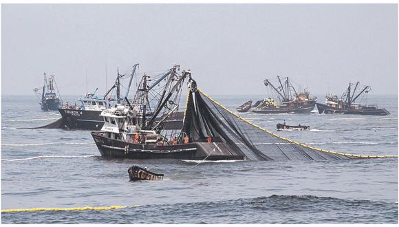 La pesca exploratoria permitirá actualizar la información sobre la distribución y estructura de tallas de la anchoveta. (Foto: GEC)