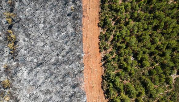 Esta fotografía aérea tomada el 7 de agosto de 2021 muestra una pista que delimita un bosque y árboles quemados por un incendio en el distrito de Mugla, Turquía. (Foto de Yasin AKGUL / AFP).
