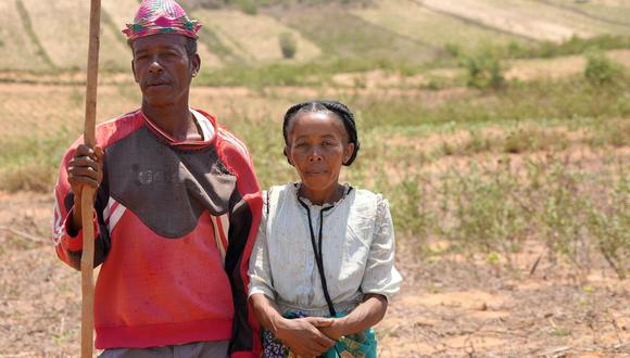 Loharano y su esposo Mandilimana han transformado la manera en la que siembran para luchar contra la sequía. (SIRA THIERIJ/BBC).