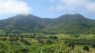 Tumbes: investigan presunta venta de terrenos de parque natural