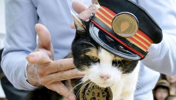 Japón llora la muerte de Tama, la gata jefe de estación de tren