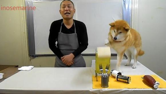 YouTube: perro hace lo imposible por arruinar show de cocina
