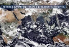 NOAA alerta: cuarto blanqueamiento mundial de corales