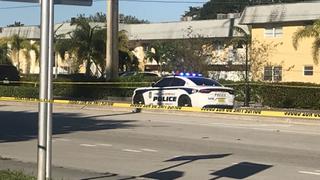 EE.UU.: dos menores muertos y otros 4 heridos de gravedad en atropello en Florida