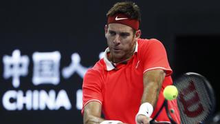 Del Potro cayó ante Basilashvili en la final del Abierto de Shanghai