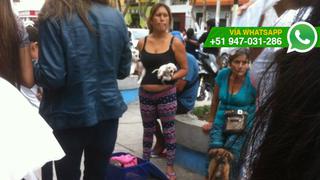 Chiclayo: continúa la venta de cachorros en la vía pública