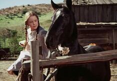 “La familia Ingalls”: los caballos de “Little House on the Prairie”