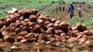 Minagri: Mercados itinerantes operarán a nivel nacional a partir del lunes