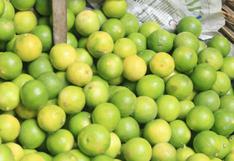Minagri: Precio del limón permanecerá alto hasta diciembre