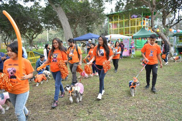 Así fue el desfile de mascotas por Fiestas Patrias en Campo de Marte. (Foto: Difusión)