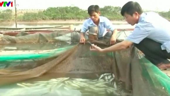 Vietnam acusa a firma taiwanesa de desastre medioambiental