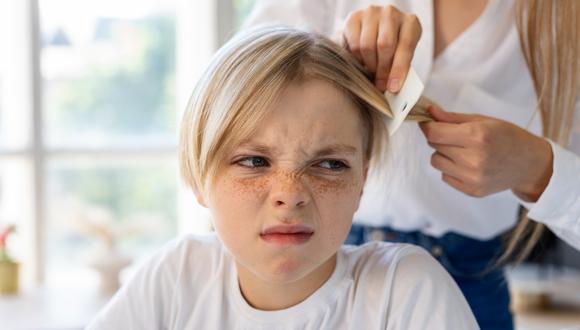 Es muy común que los niños en los colegios se contagien de piojos, ya que se transmiten por contacto directo con una persona infestada, es decir, de cabeza a cabeza.