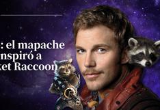 El legado de ‘Oreo’: El mapache que inspiró a Rocket Raccoon en ‘Guardianes de la Galaxia’