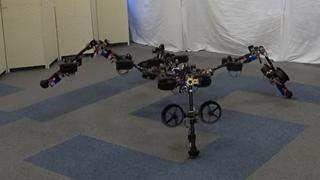 Robot araña: vuela y puede trepar gracias a la robótica experimental | VIDEO