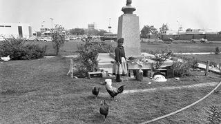 La historia de la familia peruana que vivió tres metros bajo tierra en el óvalo Monitor de Surco en los años 80 