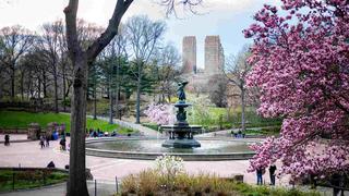 Empezó la primavera en Nueva York: así se ve esta increíble ciudad | FOTOS