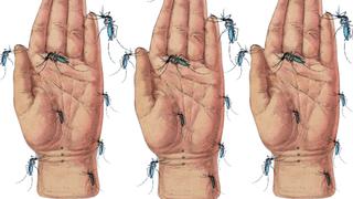 La guerra piurana contra el dengue, por VirginiaBaffigo