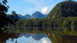 Cuatro datos que debes saber antes de visitar la Cordillera Azul en la selva peruana | FOTOS 