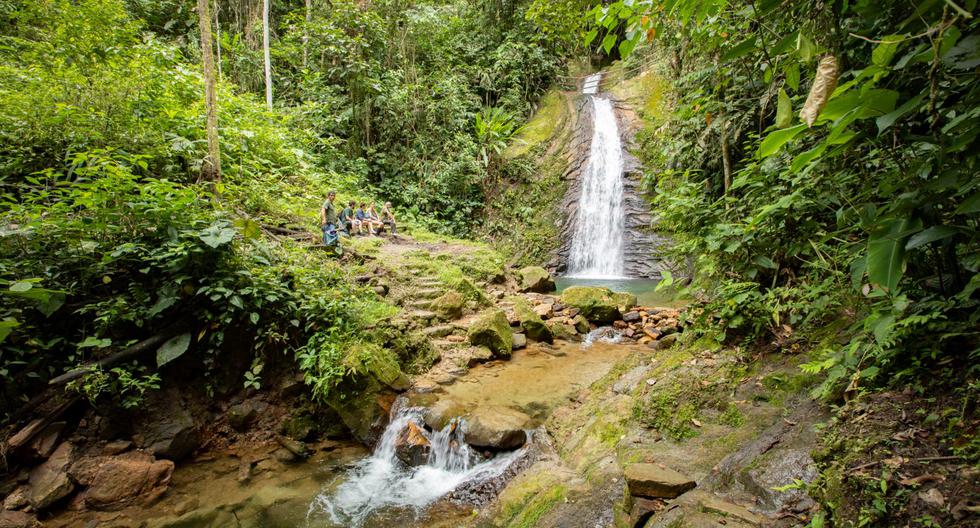 Catarata del caserío El Progreso, en la región San Martín. Para llegar hay que hacer una caminata de casi una hora. (Fotos: Richard Hirano)