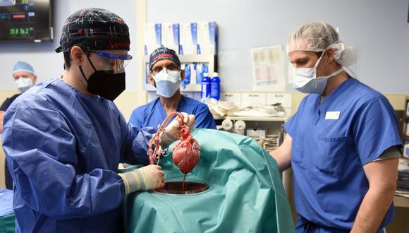 El primer trasplante de corazón de cerdo a humano se llevó a cabo en Baltimore. (Foto: Hospital Universitario de Maryland)
