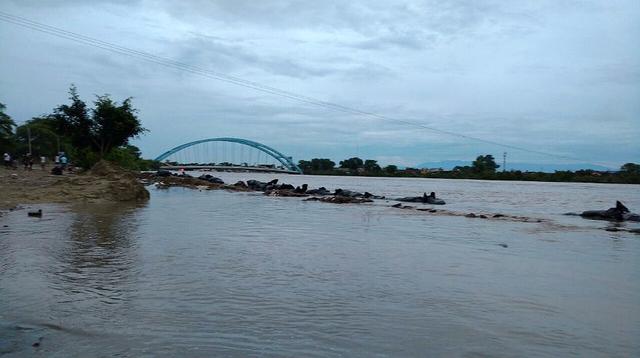 Piura: puentes locales son afectados por desborde de río - 6