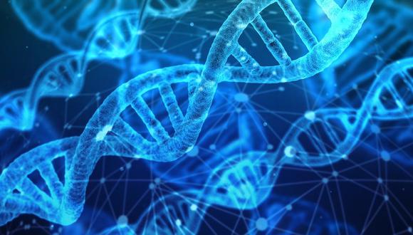 La modificación genética tiene implicancias científicas y éticas. (Foto: Pixabay)