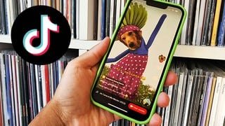 Android: cómo poner el filtro de TikTok de “Sopa de caracol” a mi perro