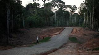 Gobierno trabaja medidas de mitigación ante impacto de carreteras en bosques