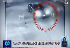 Lima: taxista atropella dos veces a perro y luego se da a la fuga